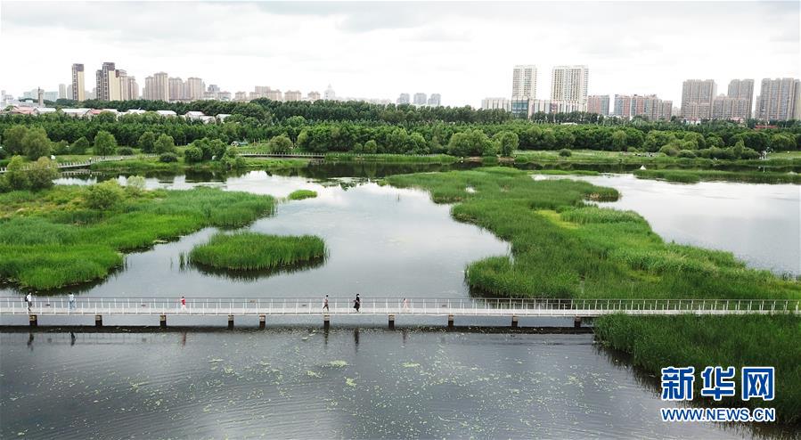 （走向我們的小康生活·圖文互動(dòng)）（1）水清、地綠、空氣新——最北省份黑龍江繪就生態(tài)治理新畫(huà)卷