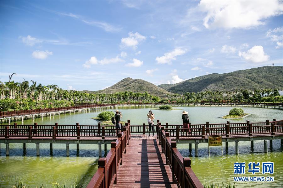 （新華全媒頭條·走向我們的小康生活·圖文互動）（6）留住鄉(xiāng)愁留住美——千村競秀綴瓊州