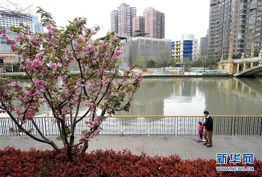 （新華全媒頭條·走向我們的小康生活·圖文互動）（12）城市，讓人民生活更美好