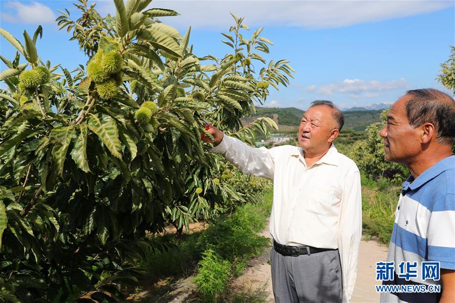 （新華全媒頭條·走向我們的小康生活·圖文互動(dòng)）（11）長(zhǎng)城腳下，小康村串成“珍珠鏈”