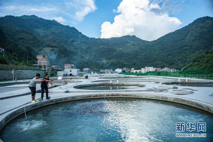 （新華全媒頭條·決戰(zhàn)決勝脫貧攻堅(jiān)·督戰(zhàn)未摘帽貧困縣·圖文互動）（11）把“最能打的人”放在最需要的地方——聚焦貴州未脫貧縣里的“助攻干部”