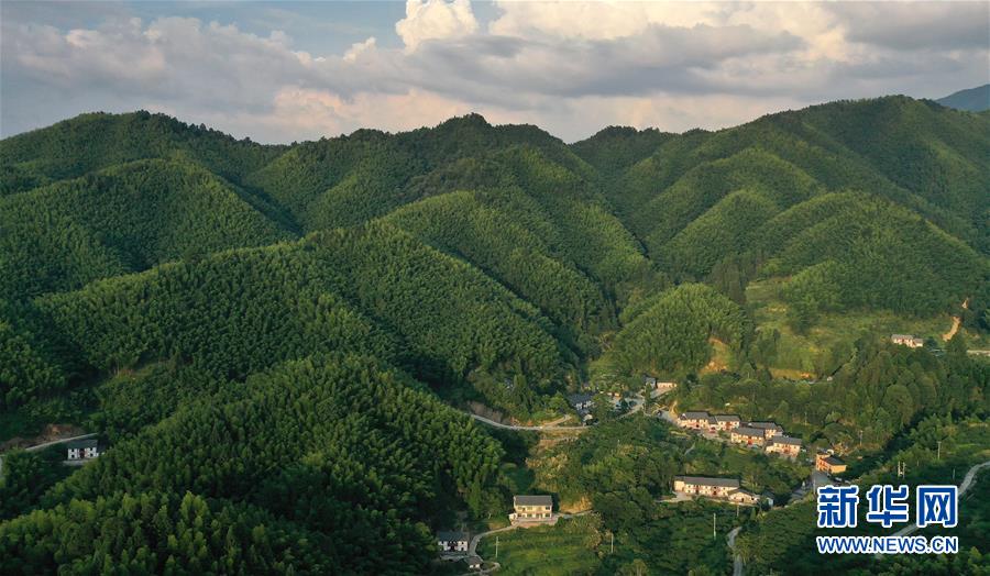 （新華全媒頭條·走向我們的小康生活·圖文互動）（2）神山村“神奇”何在？——井岡山深處覓答案