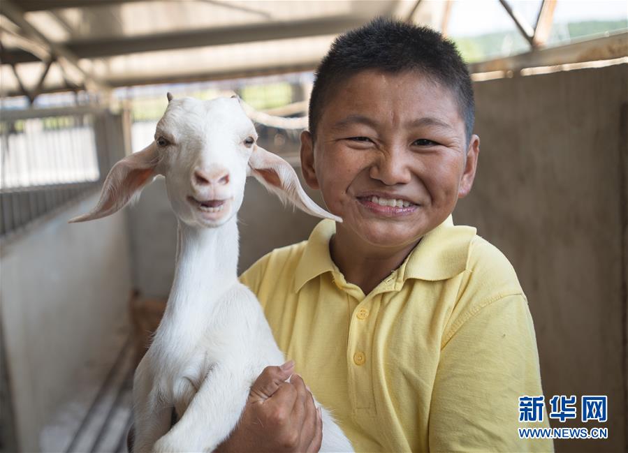 （新華全媒頭條·走向我們的小康生活·圖文互動）（5）特殊之年，荊楚大地書寫不平凡的答卷