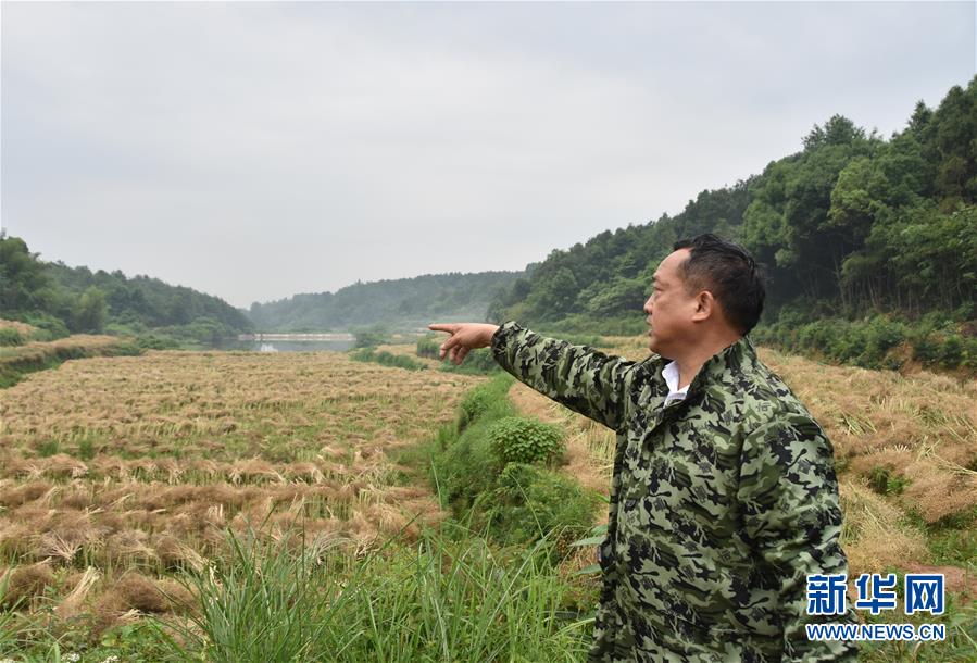 （代表委員履職·圖文互動(dòng)）（2）“我是農(nóng)民代表，始終關(guān)注農(nóng)村”——全國(guó)人大代表沈昌健的履職故事