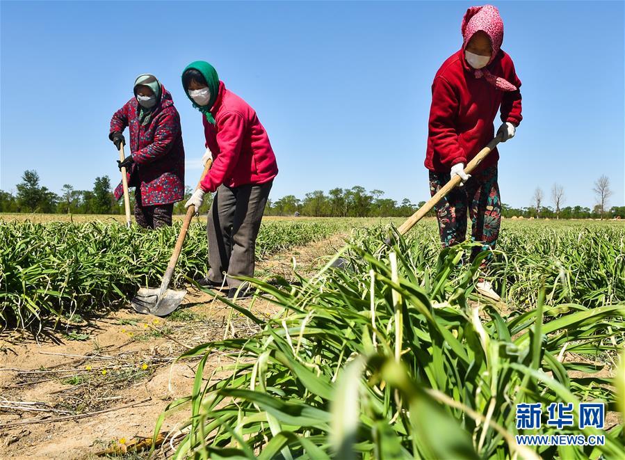 （新華全媒頭條·圖文互動(dòng)）（17）從人民中汲取磅礴力量——習(xí)近平總書記同出席2020年全國兩會(huì)人大代表、政協(xié)委員共商國是紀(jì)實(shí)