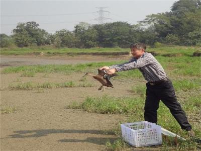 加強(qiáng)和改進(jìn)保護(hù)管理工作