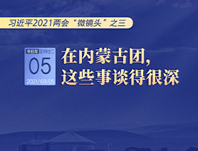 習近平2021兩會“微鏡頭”之三 3月5日 在內(nèi)蒙古團，這些事談得很深